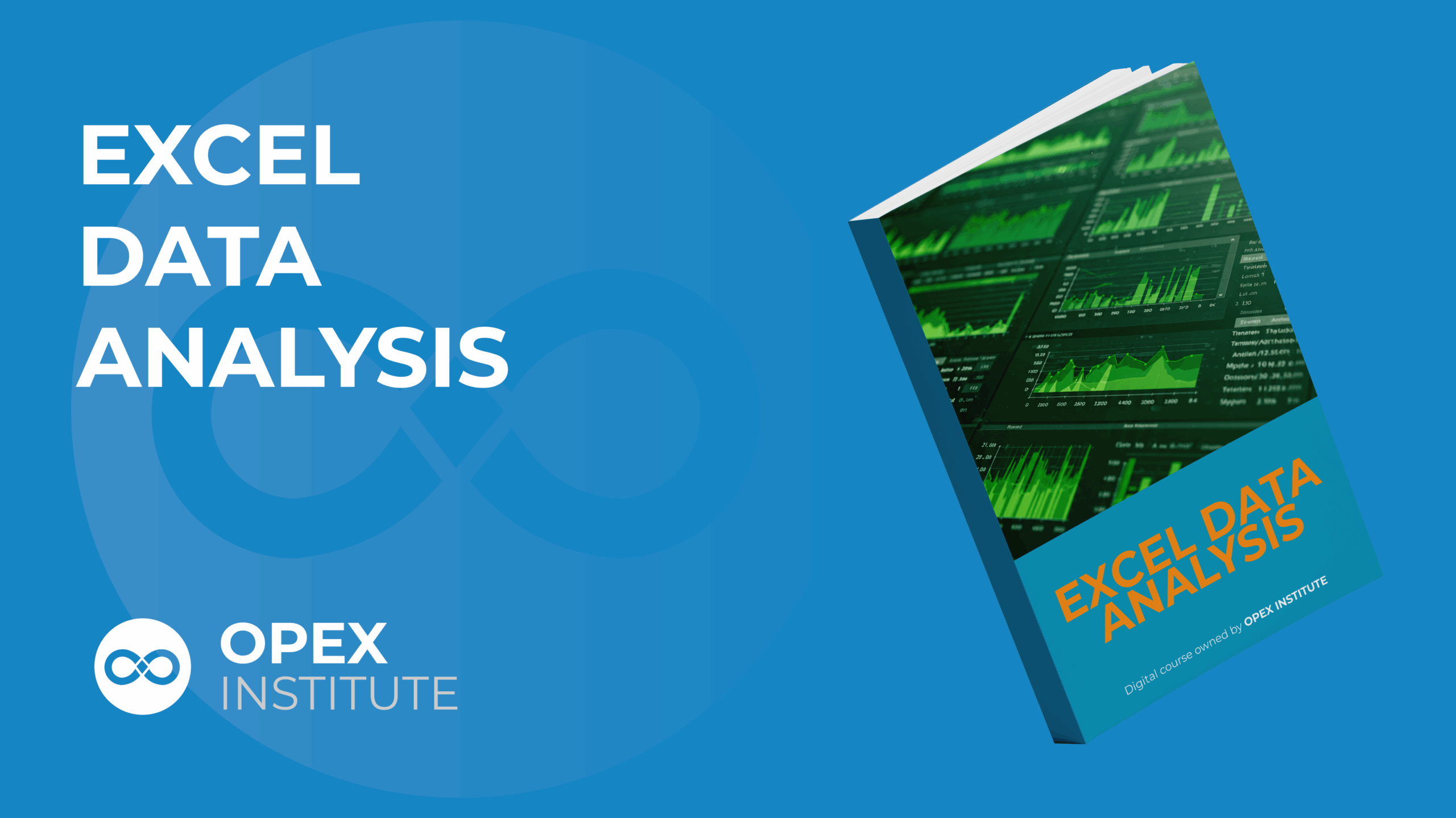 EXCEL DATA ANALYSIS