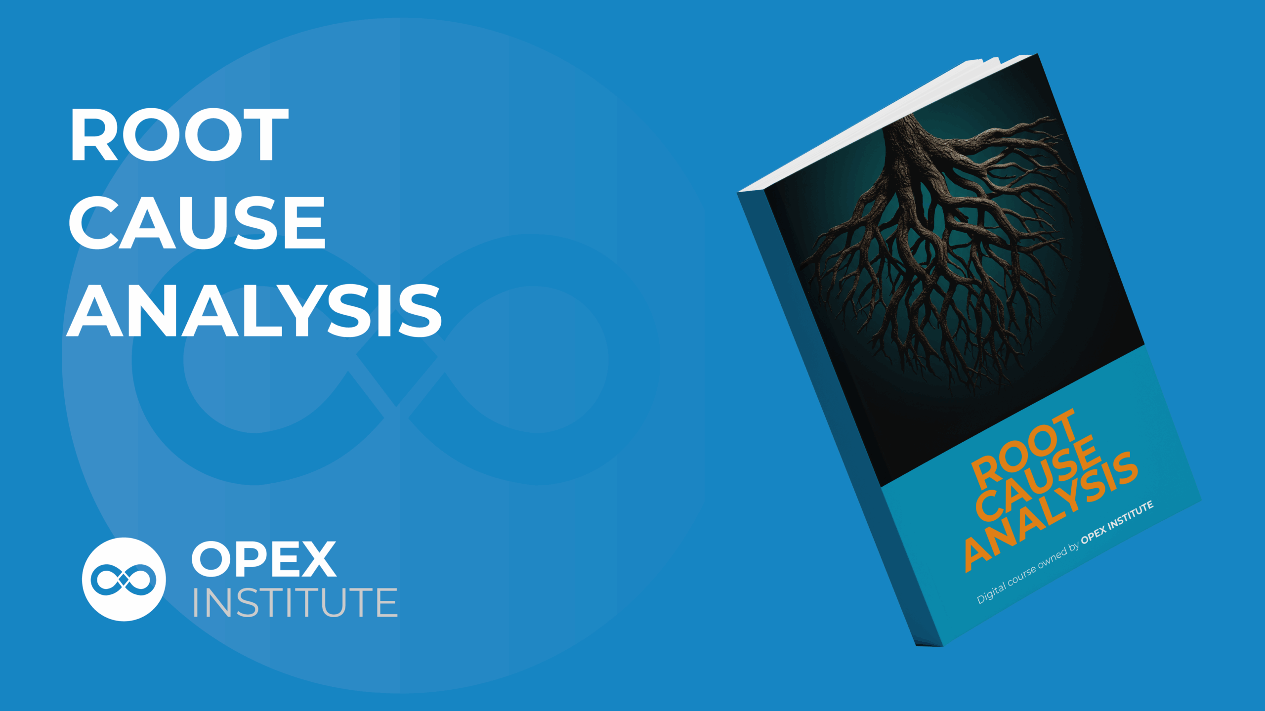 ROOT CAUSE