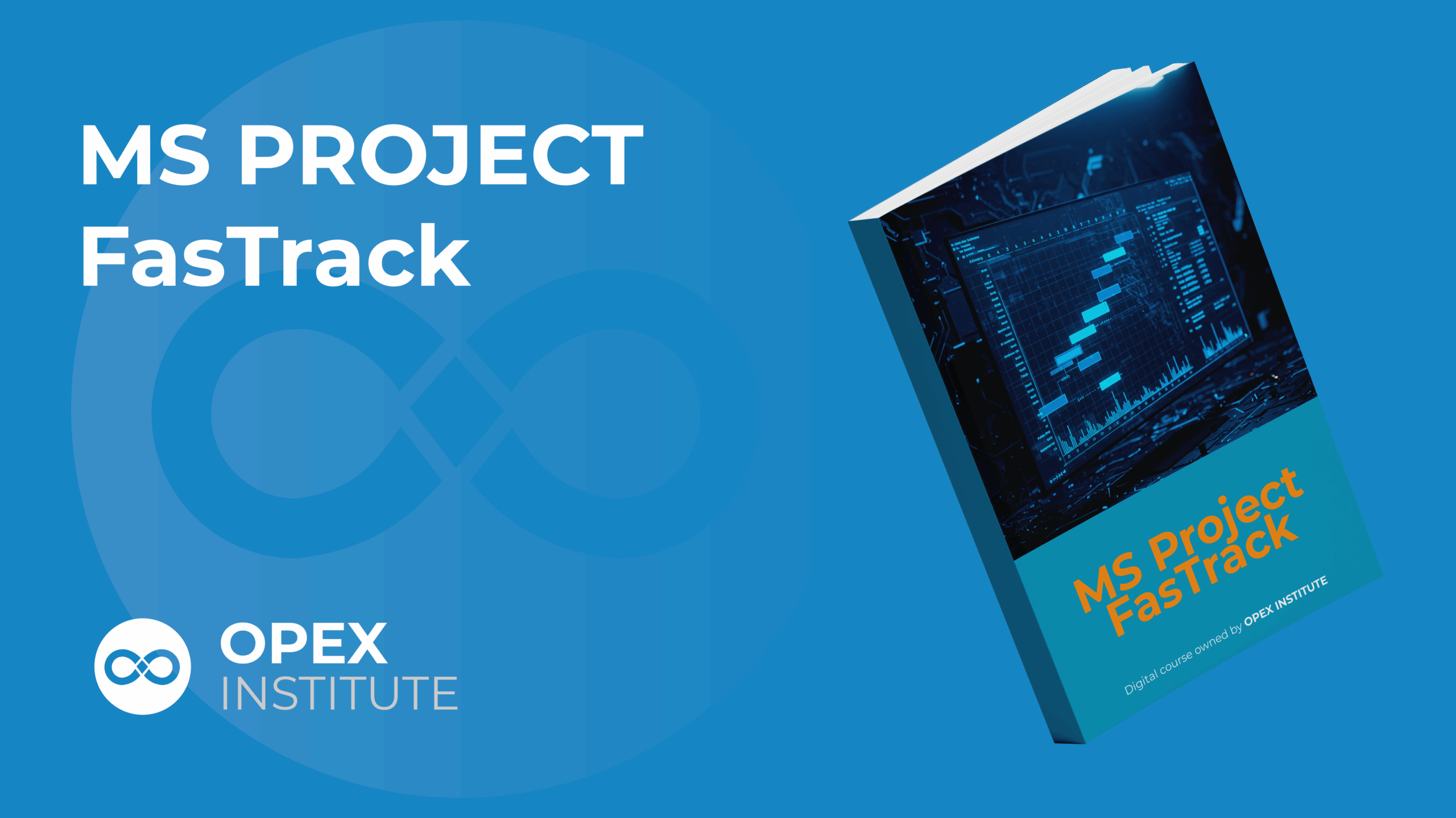 ms project