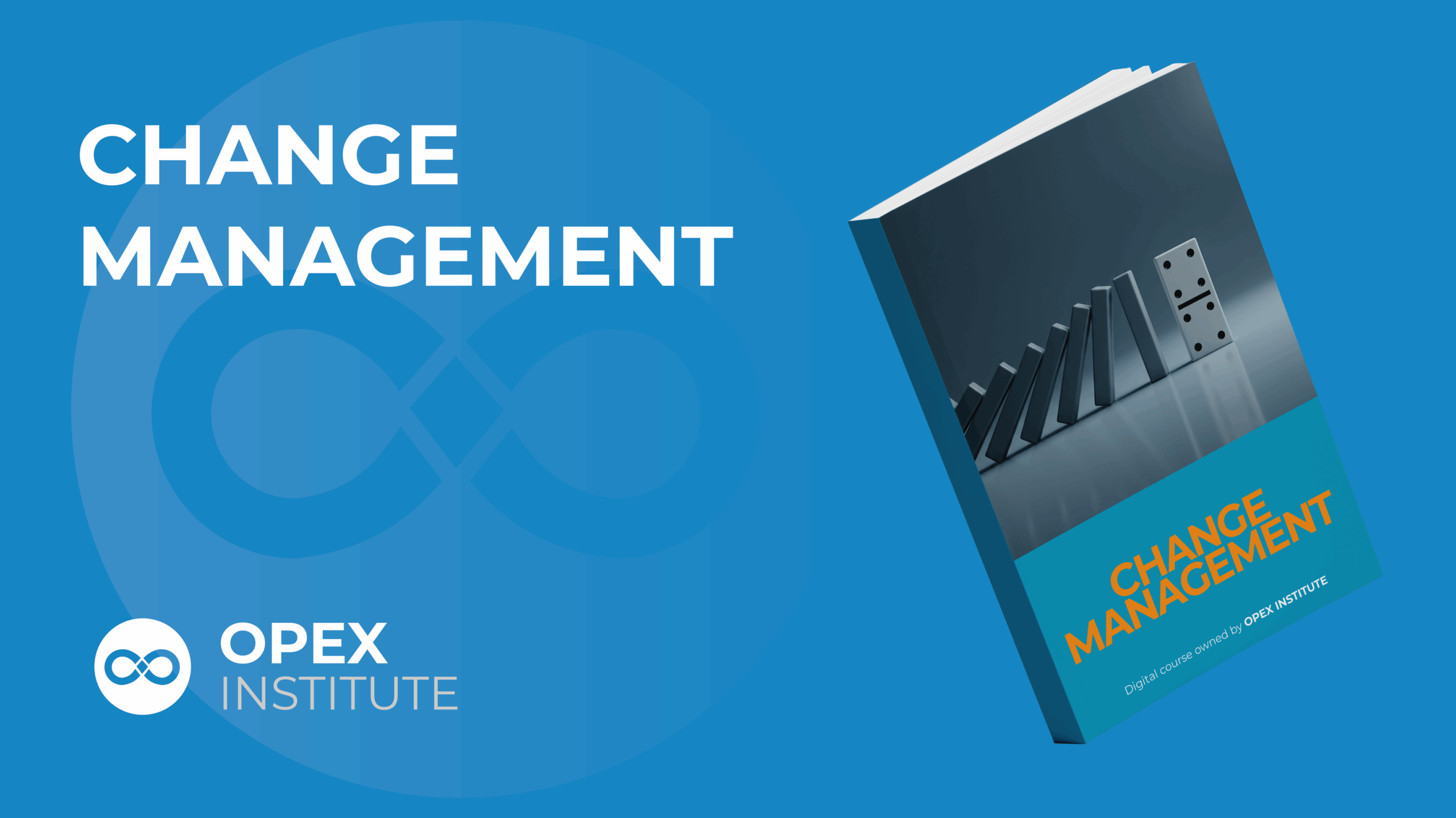 CHANGE MGT