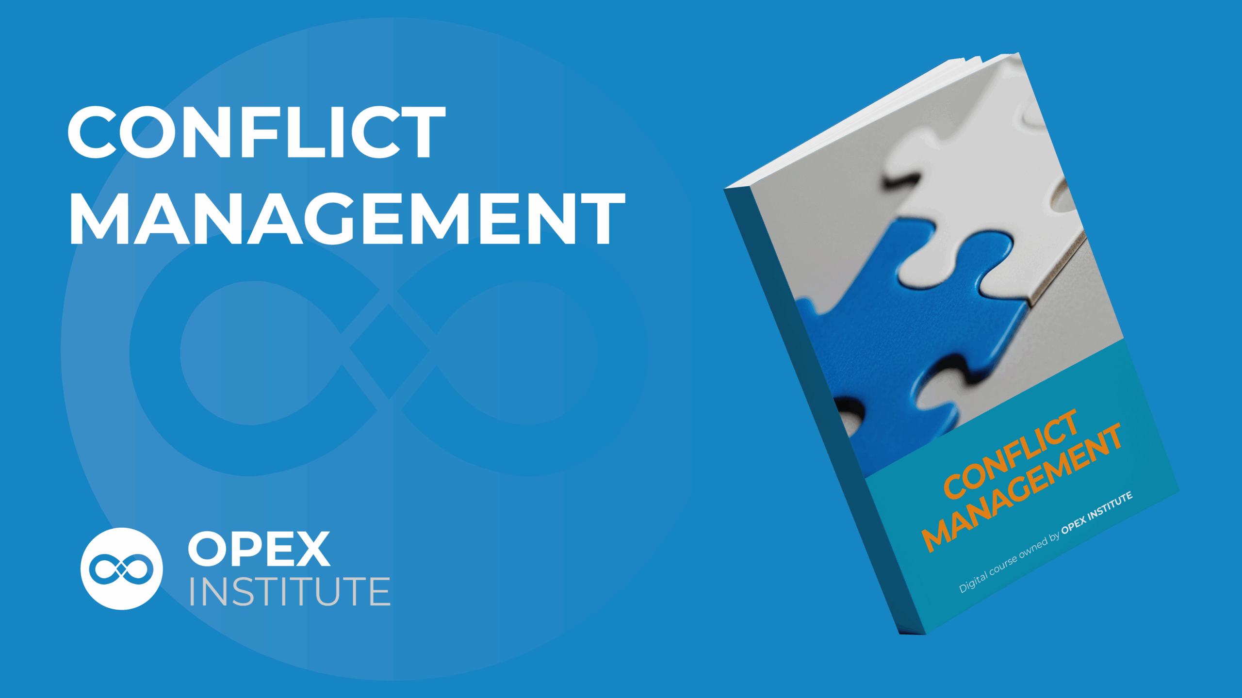 CONFLICT MGT