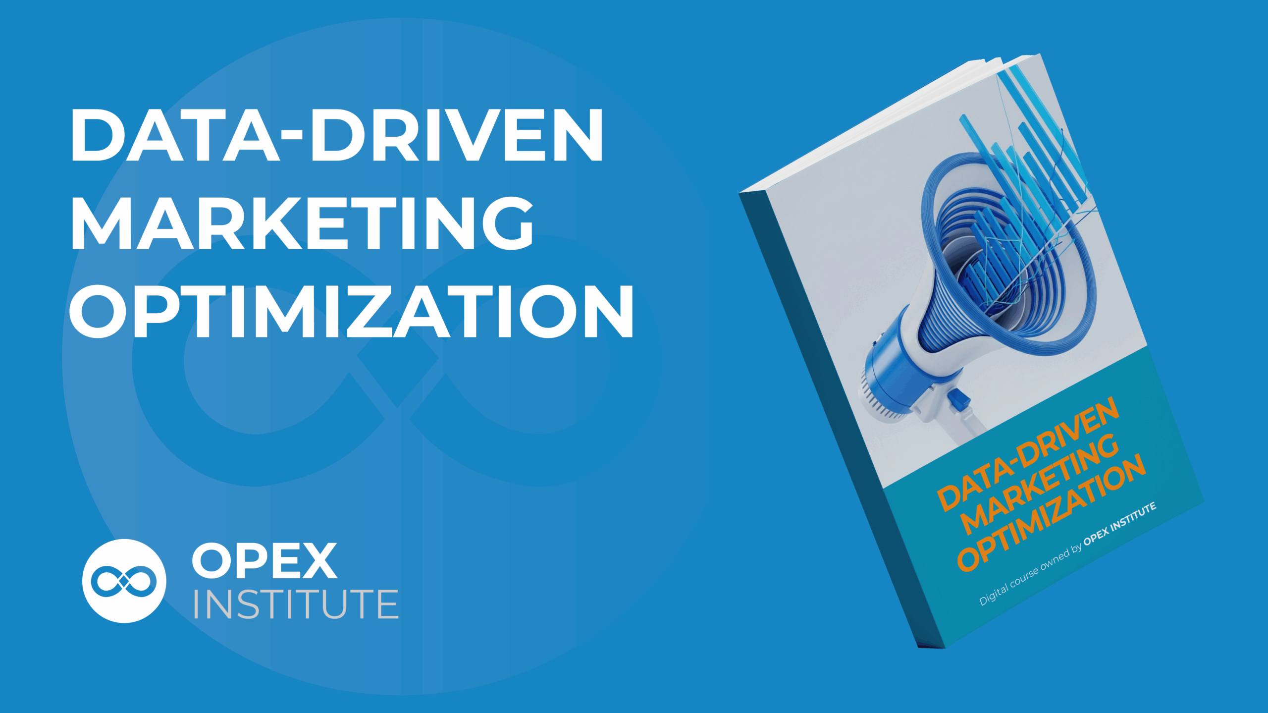 DATA DRIVEN MKTNG OPT