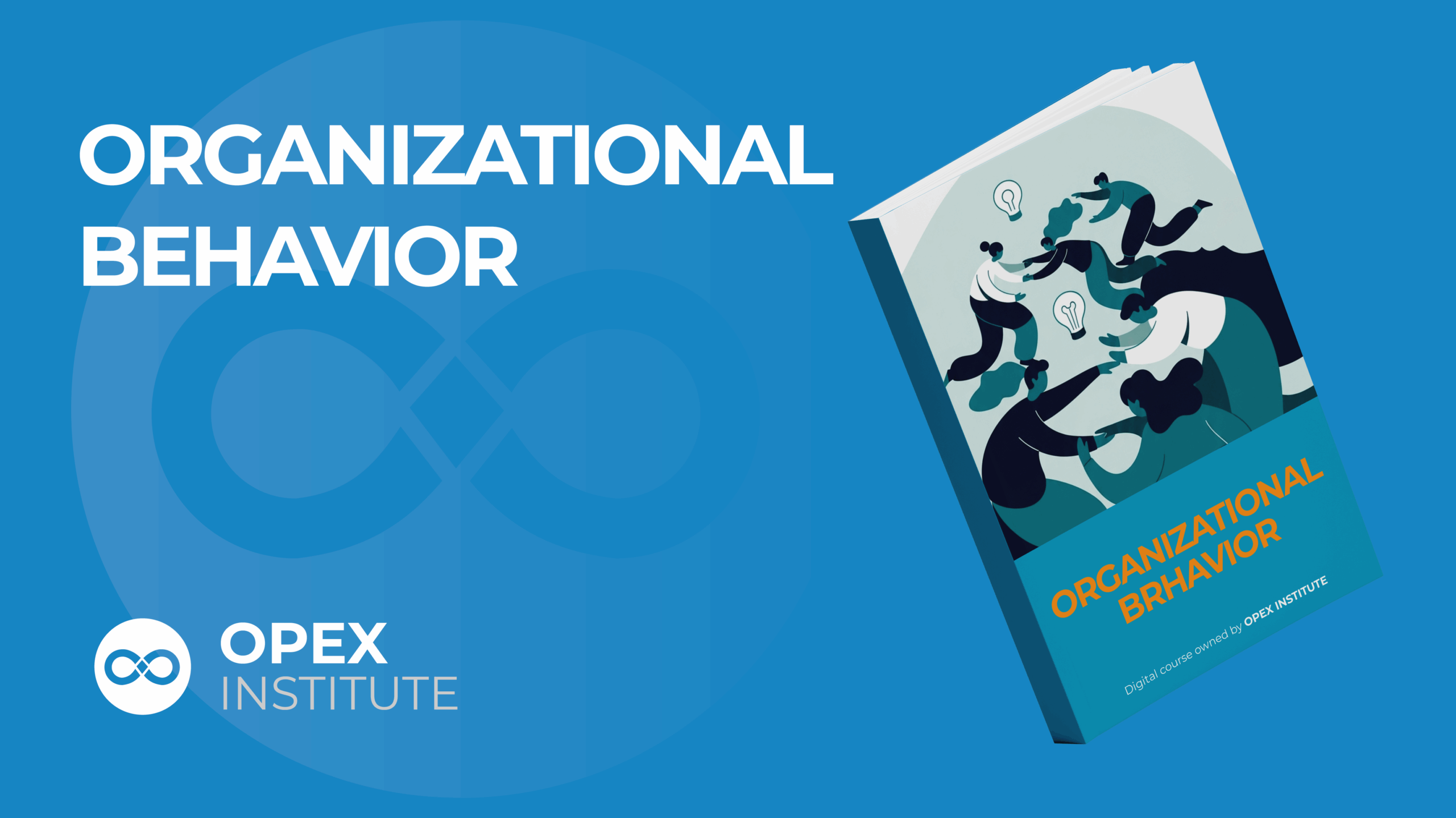 ORG BEHAVIOR