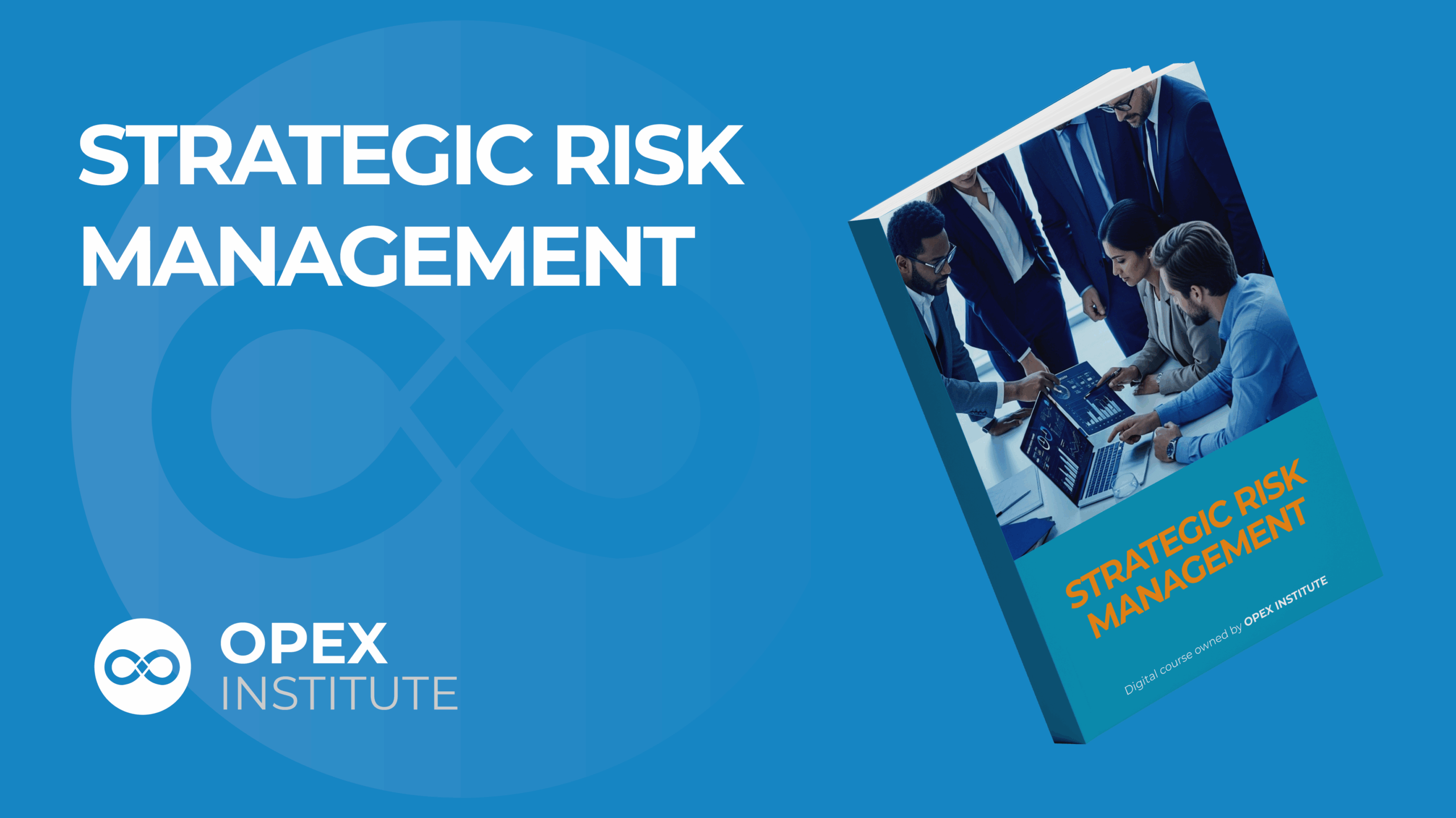 strategic risk mgt