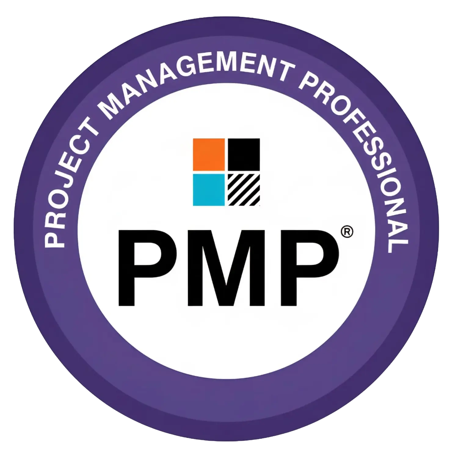 PMP Logo