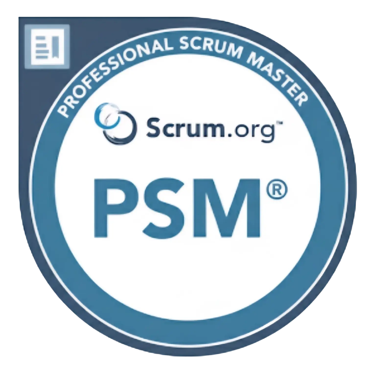PSM Logo